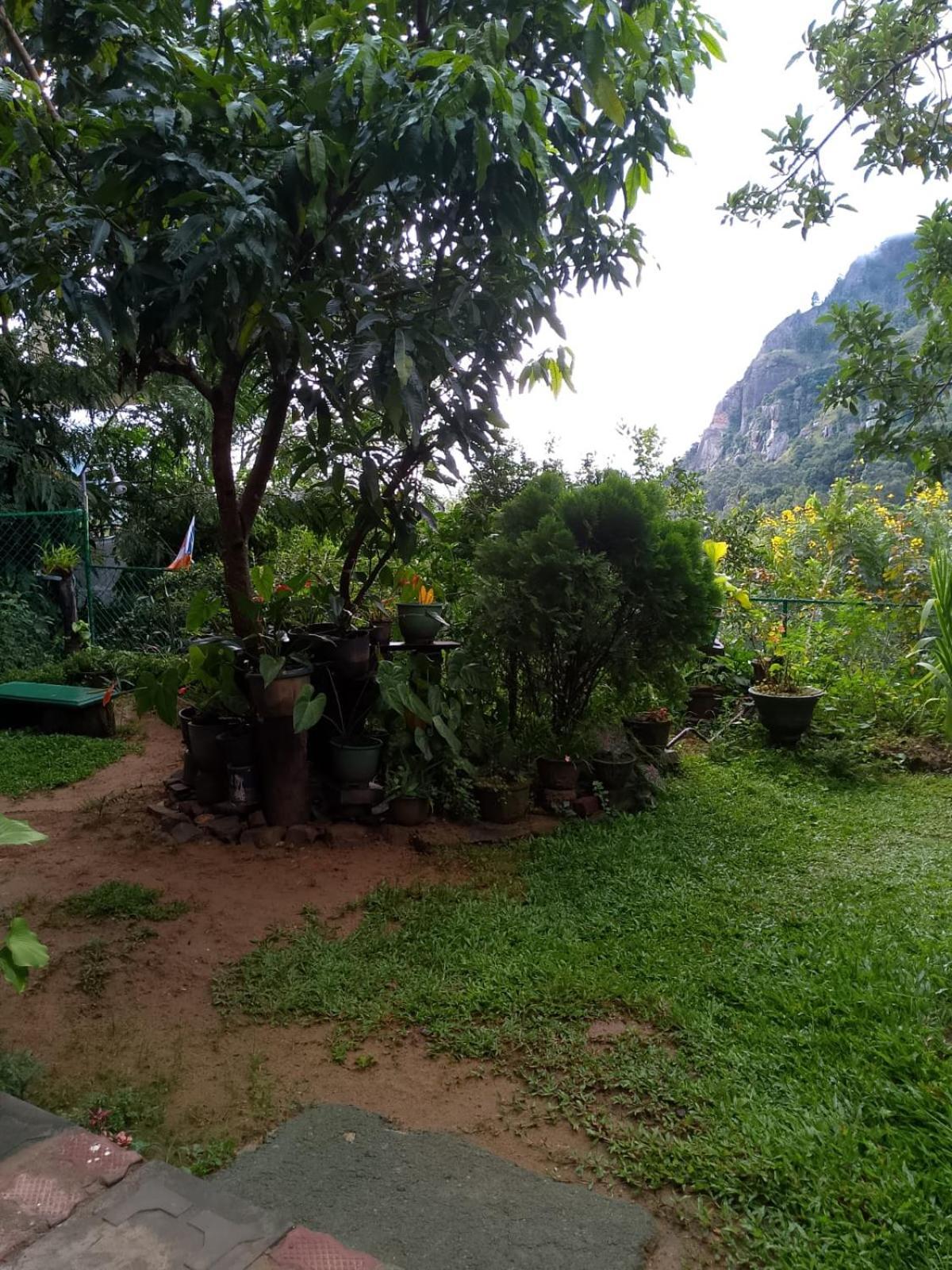 Pasan Guest Bed & Breakfast Ella Exterior photo