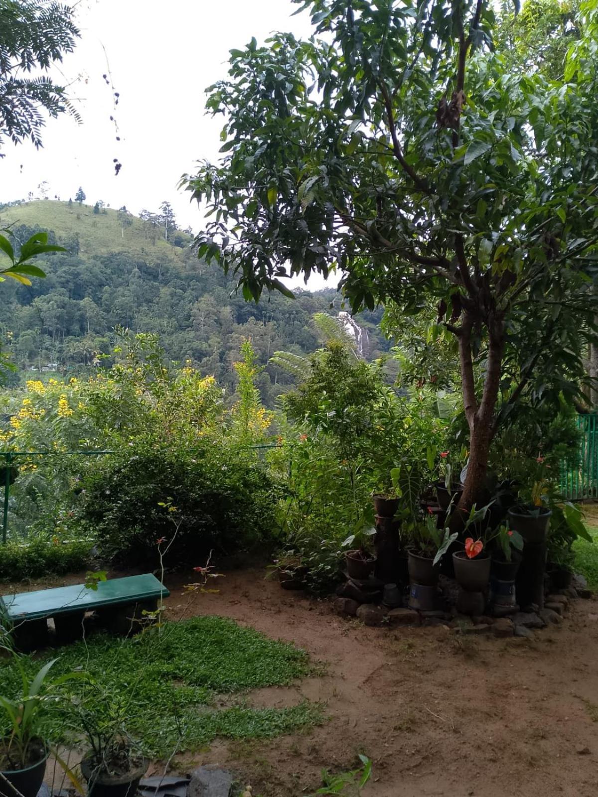 Pasan Guest Bed & Breakfast Ella Exterior photo